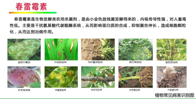 海纳细艳-2%春雷霉素水稻真菌细菌性病害杀菌剂