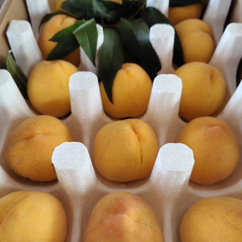 锦绣中华黄桃