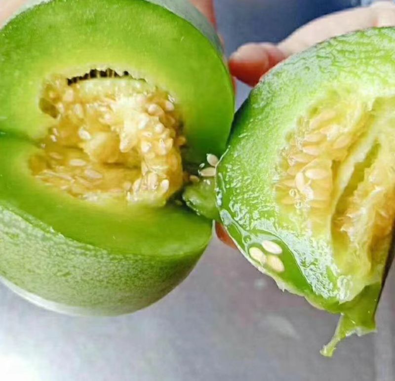 【绿宝甜瓜】湖北精品甜瓜，一手货源，大量供应，口感脆甜