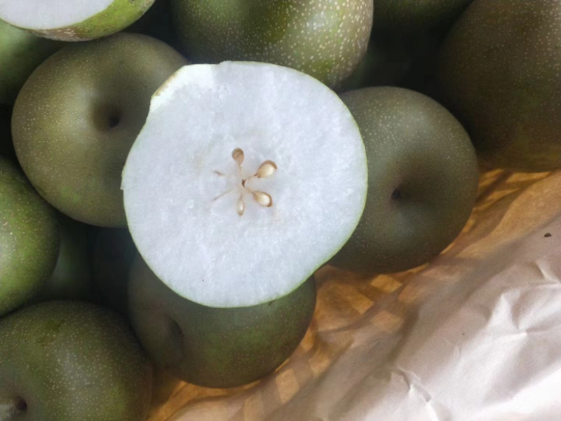 酥脆一号梨早熟梨半斤以上青皮糖度高代发