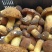 大量批发零售各种野生菌