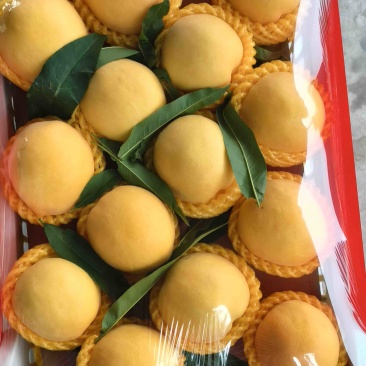 黄桃