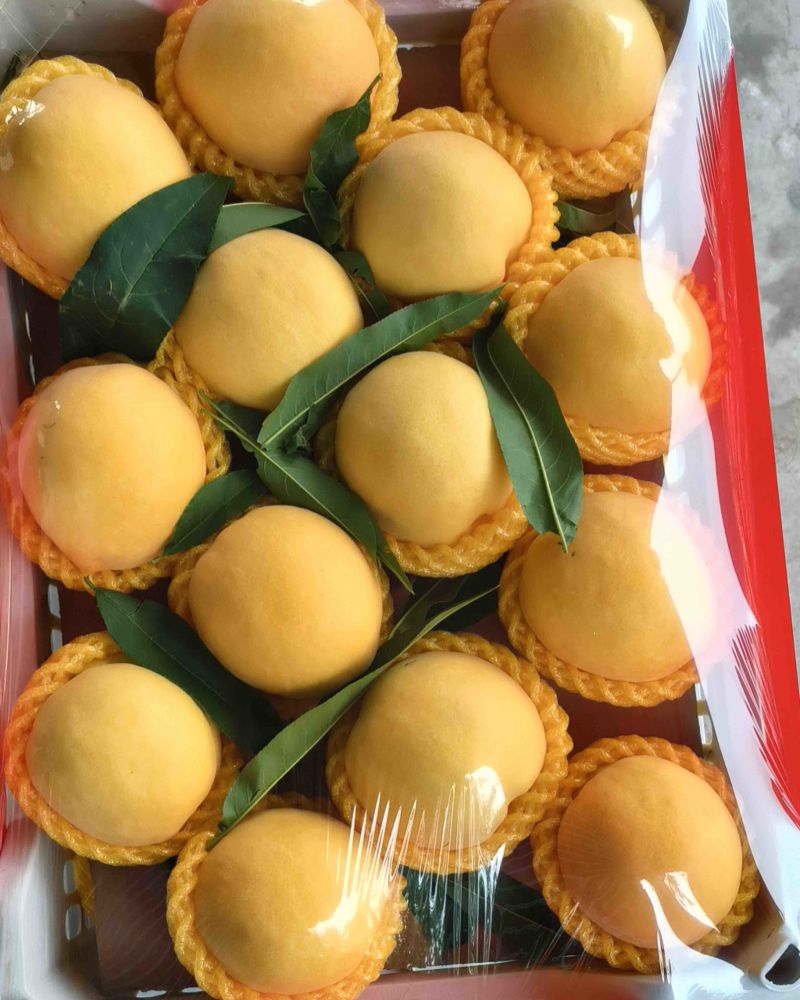 黄桃