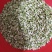 重庆涪陵榨菜批发价格新鲜榨菜丝鲜榨菜片冲辣菜盐渍榨菜