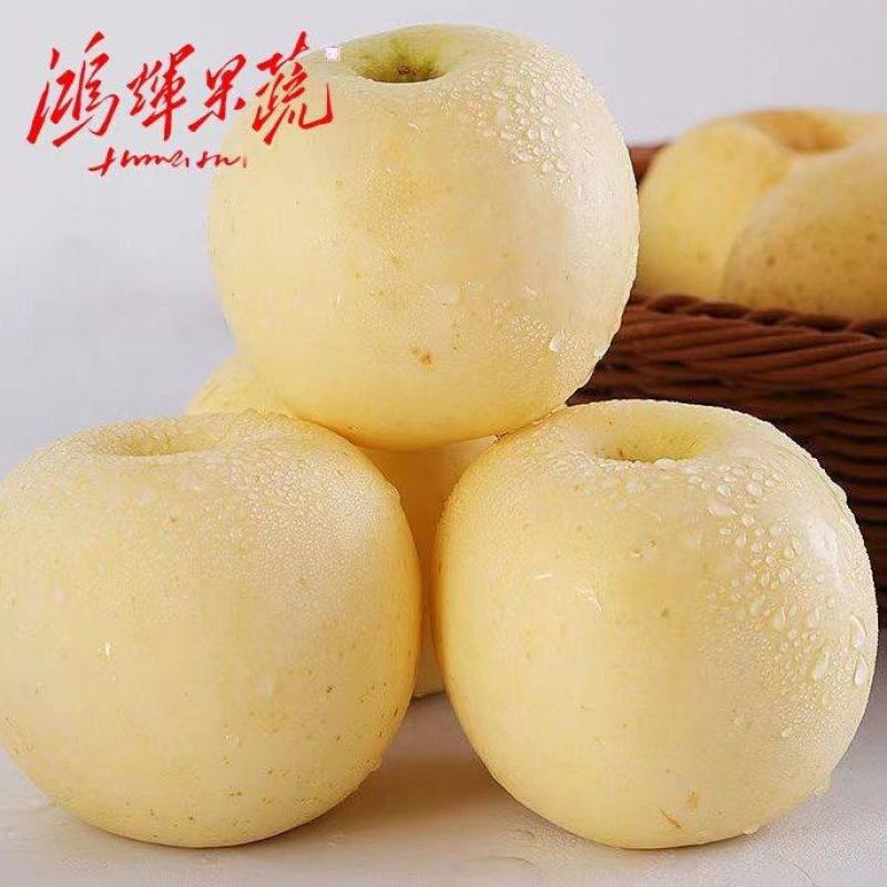 奶油富士苹果支持电商，商超，市场，精品富士果品类全年有货