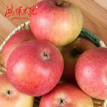 【国光苹果】栖霞苹果老品种,酸甜可口,儿时记忆,源头产地