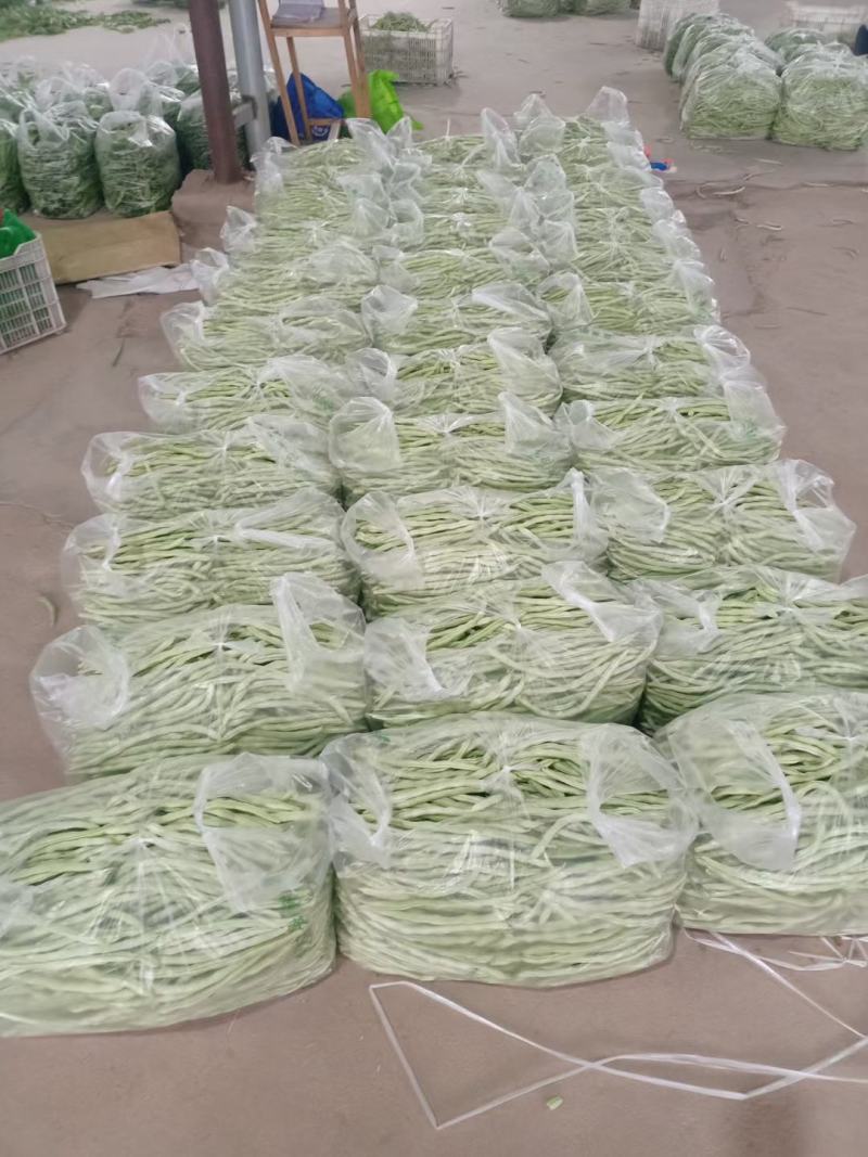 山西应县白王中王，白无丝大量供应，产地直供，可供电商。