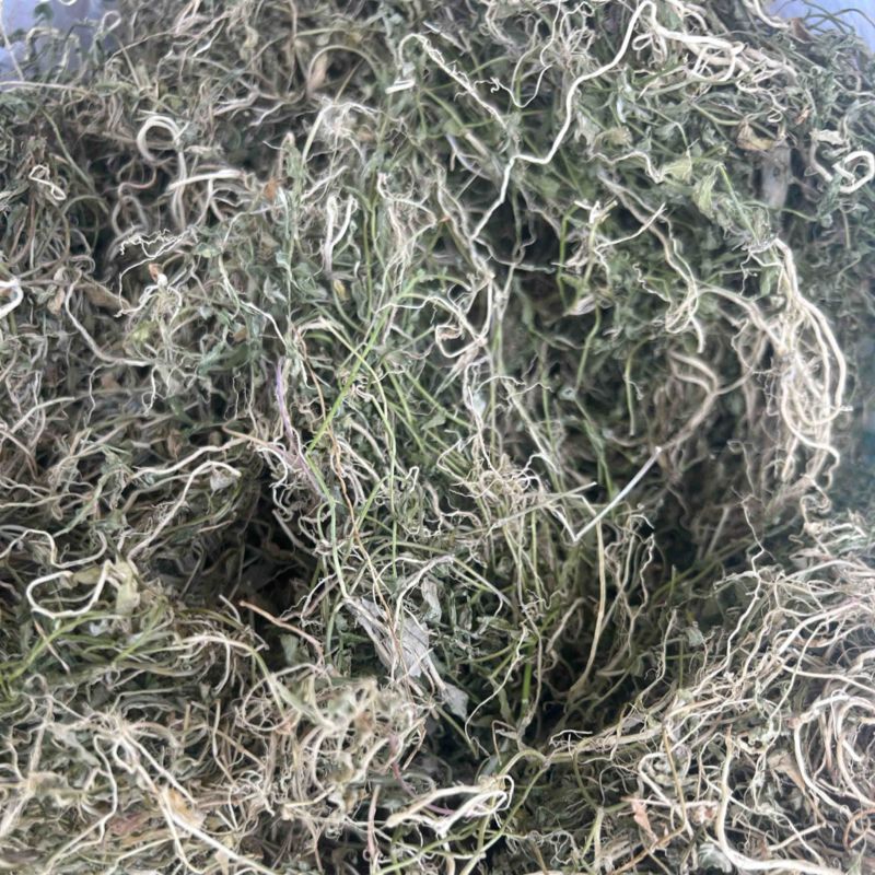 半边莲纯野生半边莲水洗干货，一手货源直供，量大从优