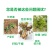 厂家直销含硼钼水溶肥料花生大豆籽粒饱满补钼固氮
