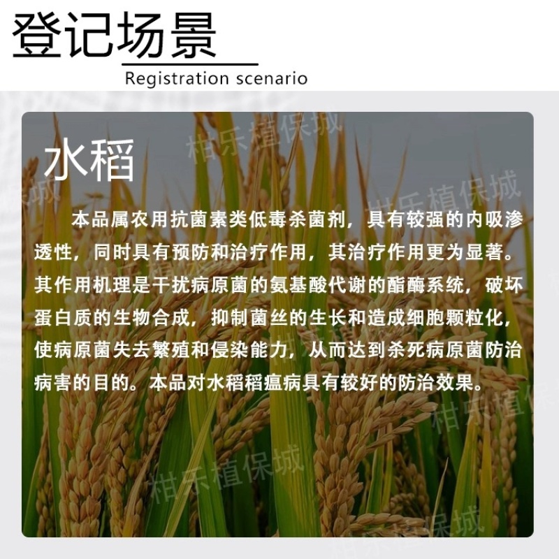 爱诺春雷-6%春雷霉素水稻稻瘟病杀菌剂农药