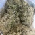 半边莲纯野生半边莲水洗干货，一手货源直供，量大从优