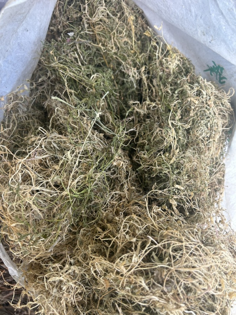 半边莲纯野生半边莲水洗干货，一手货源直供，量大从优