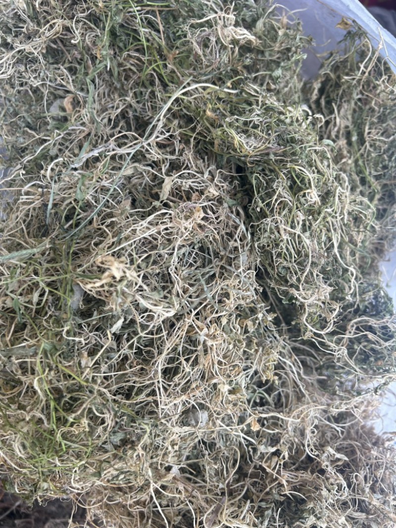 半边莲纯野生半边莲水洗干货，一手货源直供，量大从优