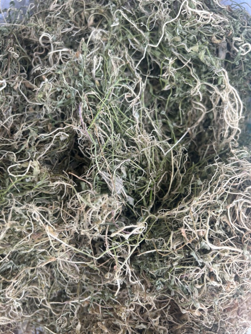 半边莲纯野生半边莲水洗干货，一手货源直供，量大从优