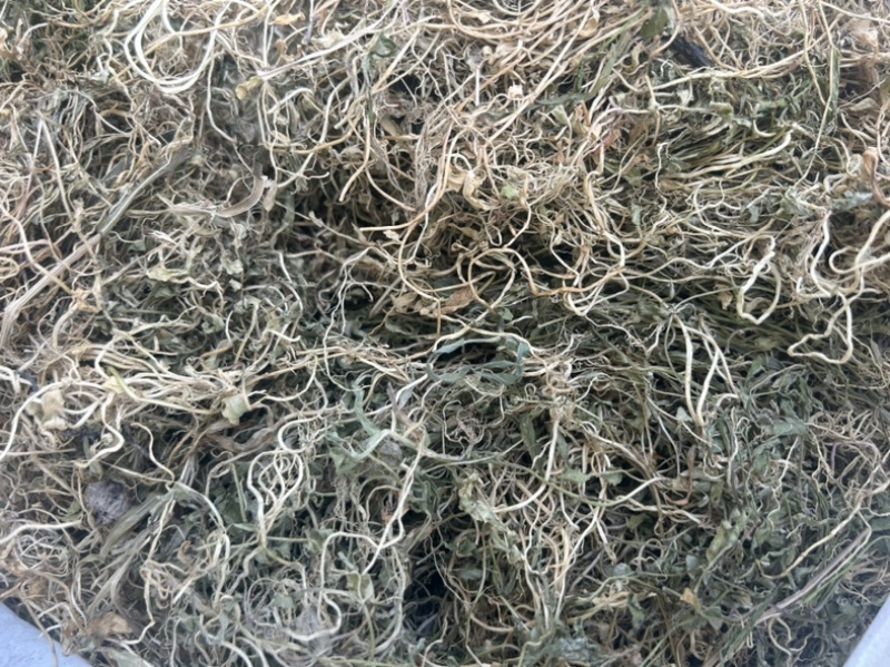 半边莲纯野生半边莲水洗干货，一手货源直供，量大从优