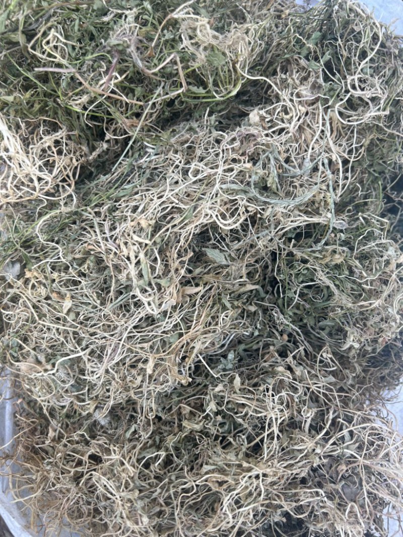 半边莲纯野生半边莲水洗干货，一手货源直供，量大从优