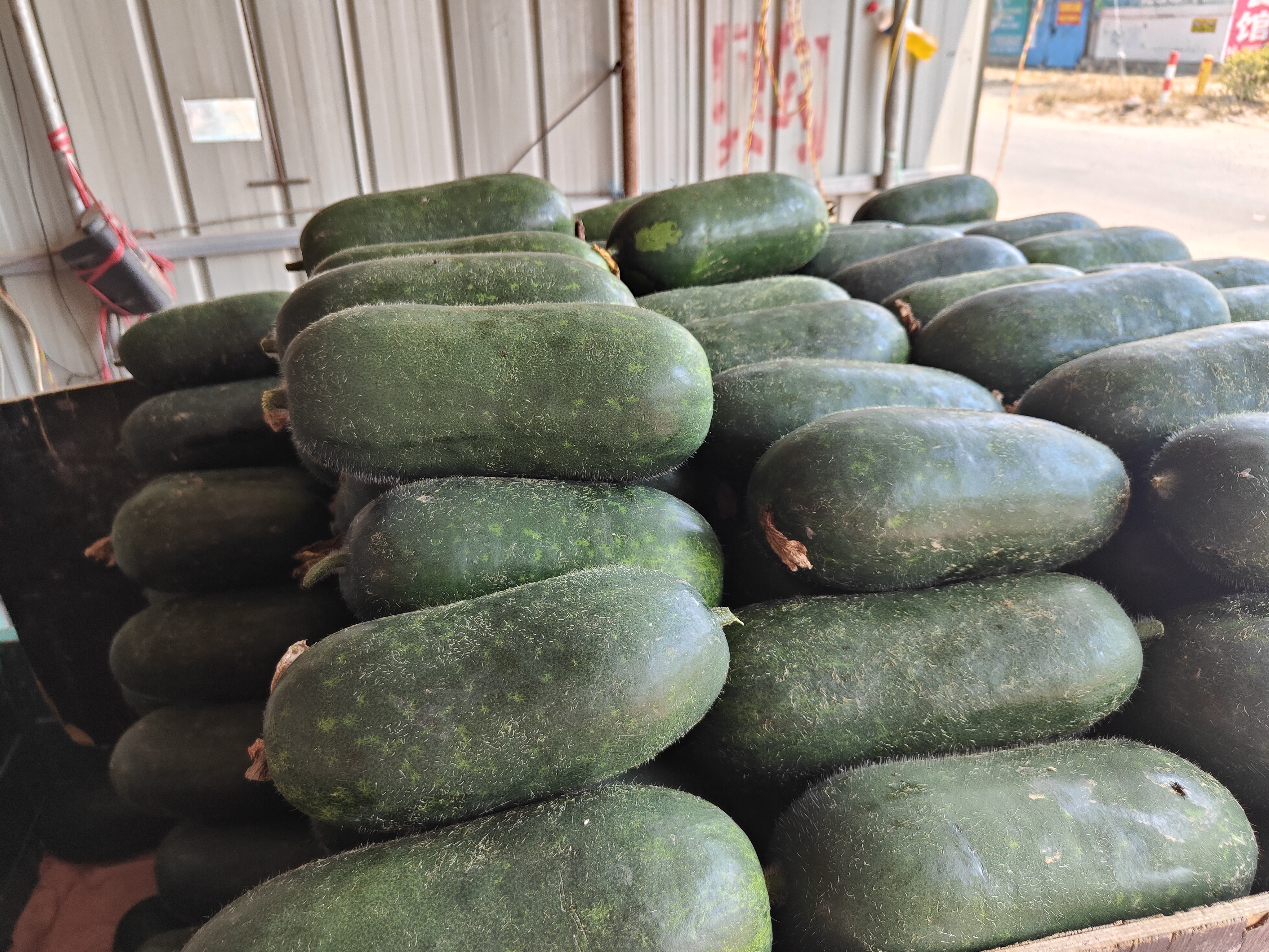 装在密封保鲜盒中的熟冬瓜,放置在冰箱冷藏室内,背景清晰可见冷藏环境 冷藏保存的冬瓜