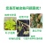 绿陇盖防裂增重提升口感水溶肥叶面肥提高作物抗性使用简