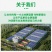 绿陇盖防裂增重提升口感水溶肥叶面肥提高作物抗性使用简
