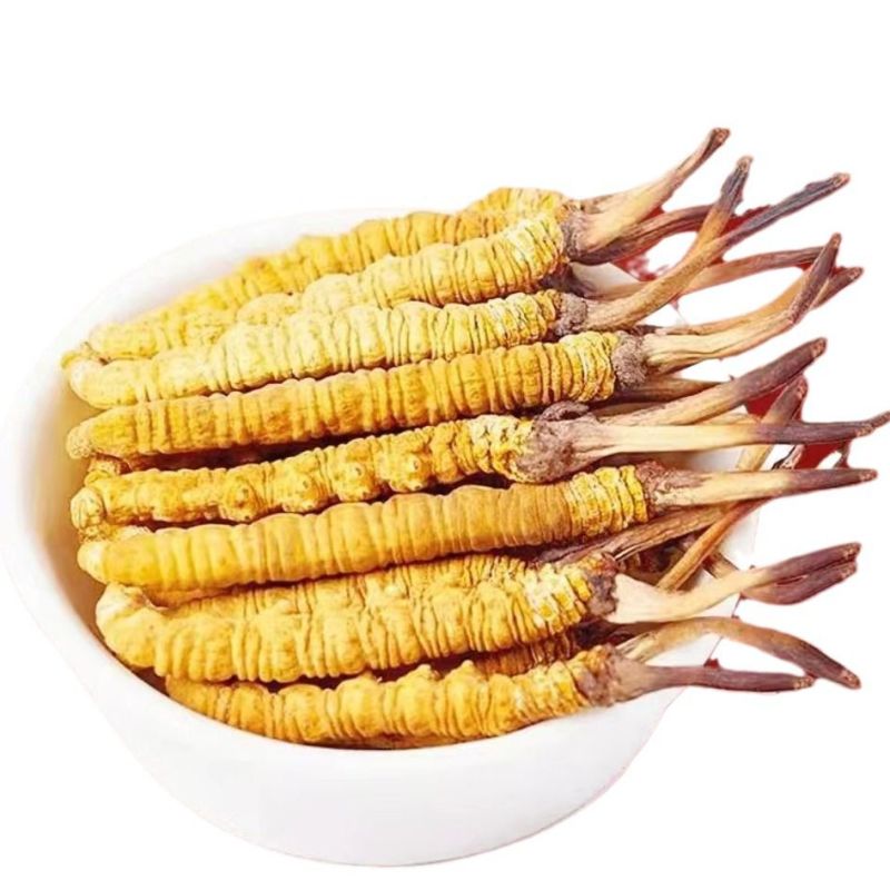 西藏那曲冬虫夏草批发西藏虫草品质有保障货到满意再付款
