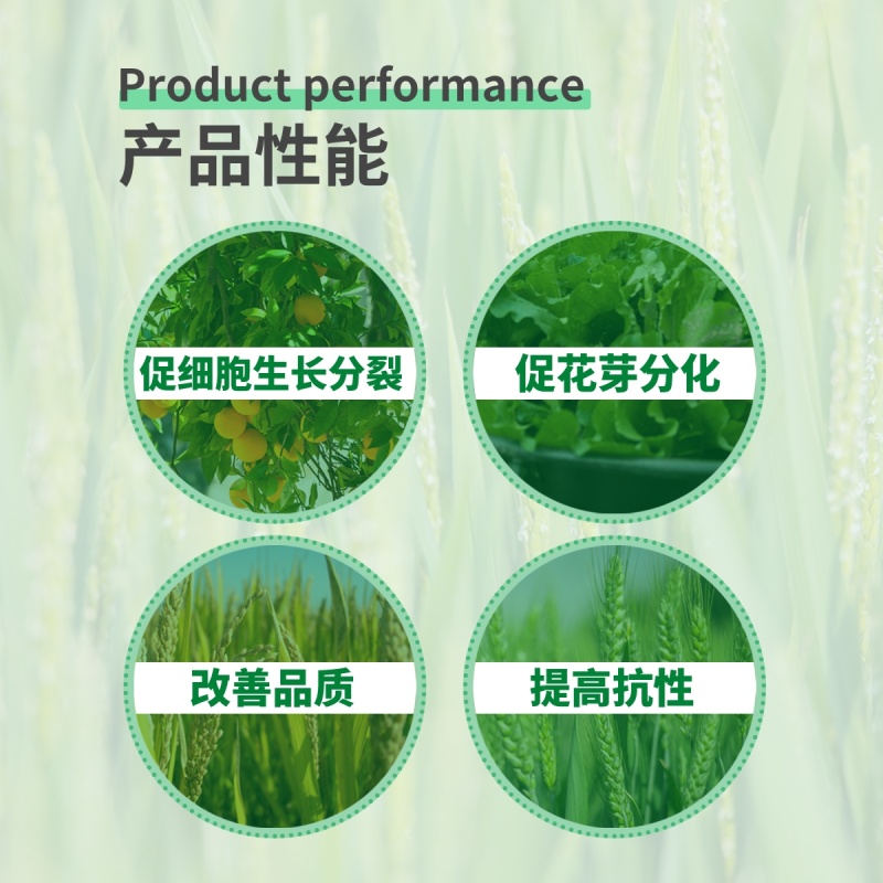 14-羟基芸苔素甾醇促花芽分化促细胞生长植物生长调节剂
