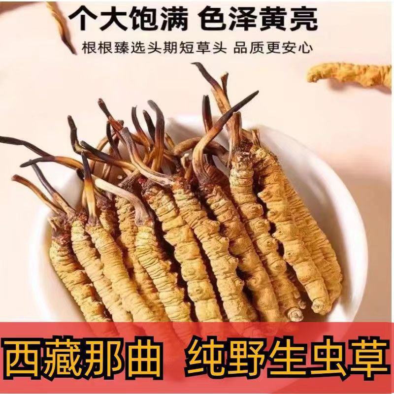 冬虫夏草西藏那曲冬虫夏草批发代发品质保障假一赔十