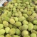 广东金包菠萝蜜大量上市中5-9斤电商市场大量有货