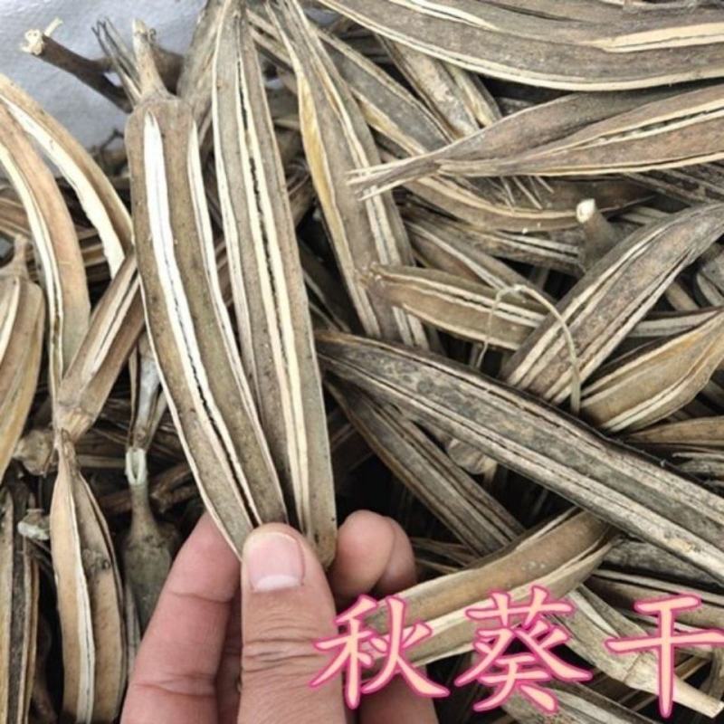 中药材晒干黄秋葵泡茶干荚羊角金秋葵干秋葵角