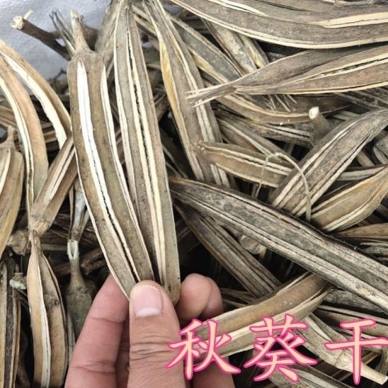 中药材晒干黄秋葵泡茶干荚羊角金秋葵干秋葵角