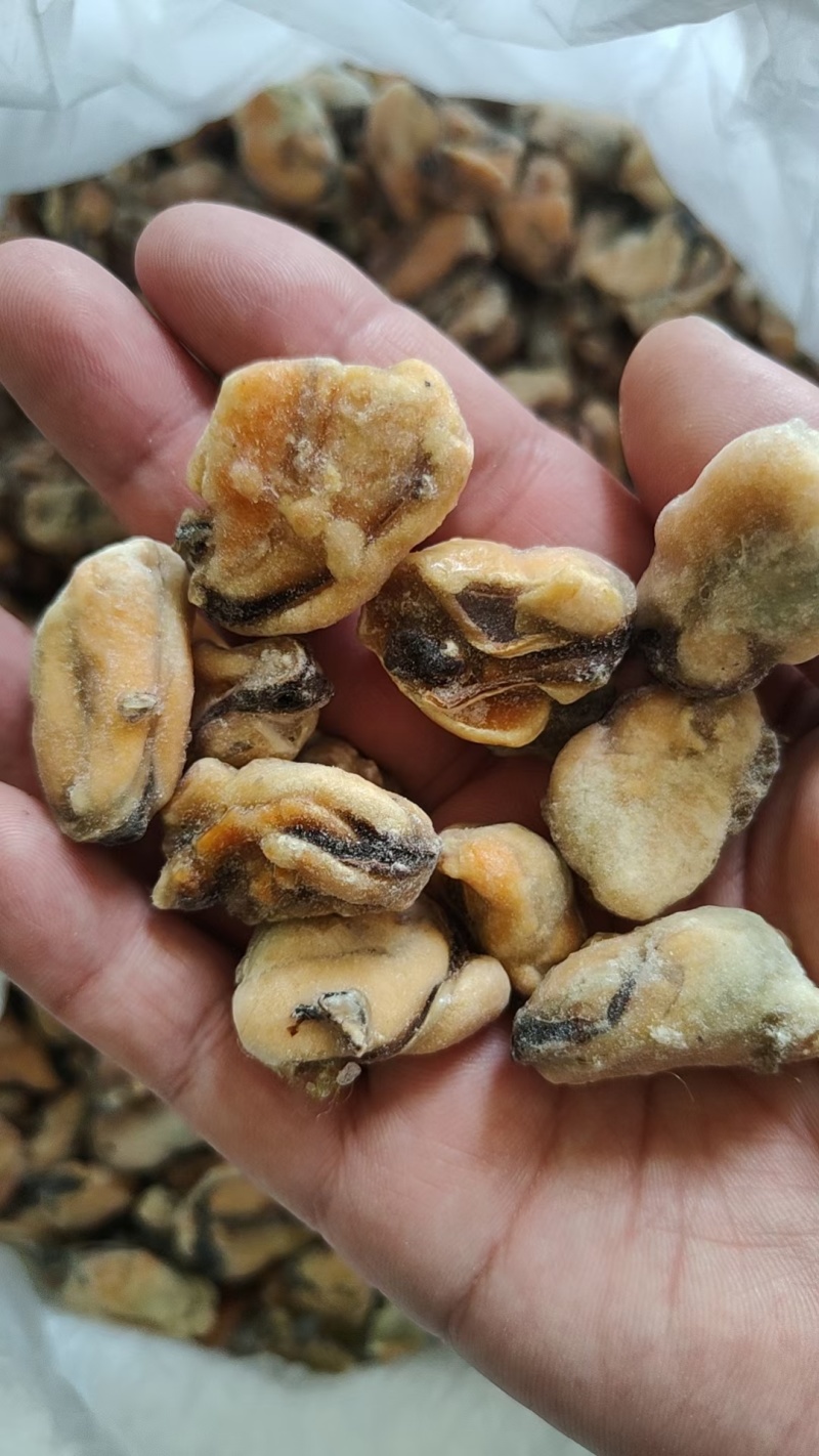 需要联系，海虹肉粿粒100吨左右存库！