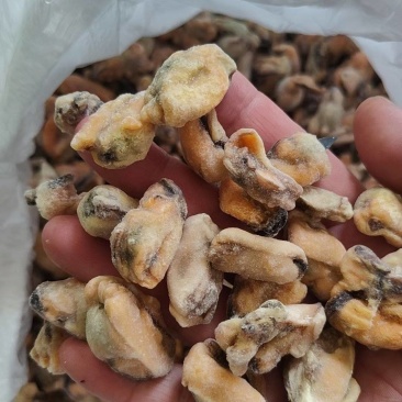 需要联系，海虹肉粿粒100吨左右存库！