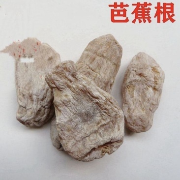 芭蕉根中药材正品芭蕉根新货芭蕉头巴且扇仙