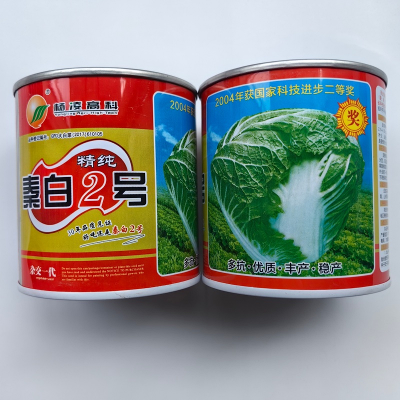 秦白2号白菜种子早熟65天大白菜冬储火锅菜好吃秋播白菜种