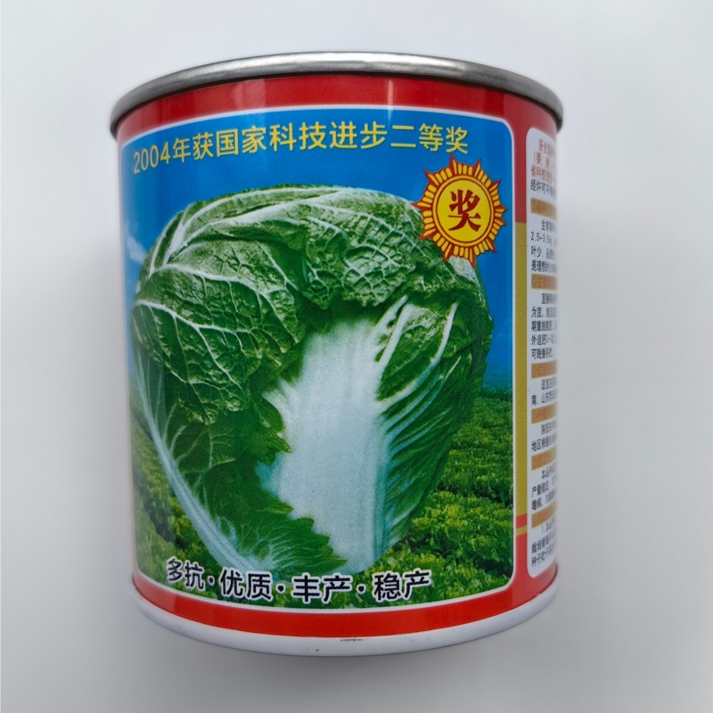 秦白2号白菜种子早熟65天大白菜冬储火锅菜好吃秋播白菜种