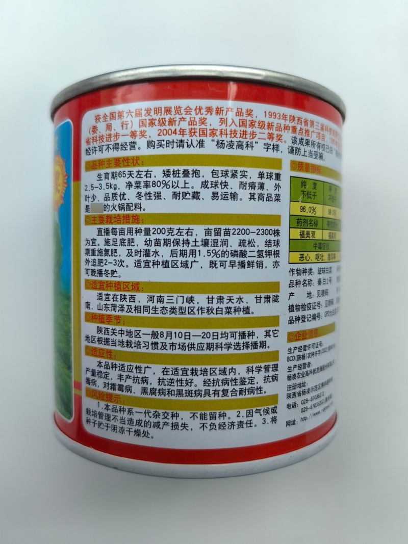 秦白2号白菜种子早熟65天大白菜冬储火锅菜好吃秋播白菜种
