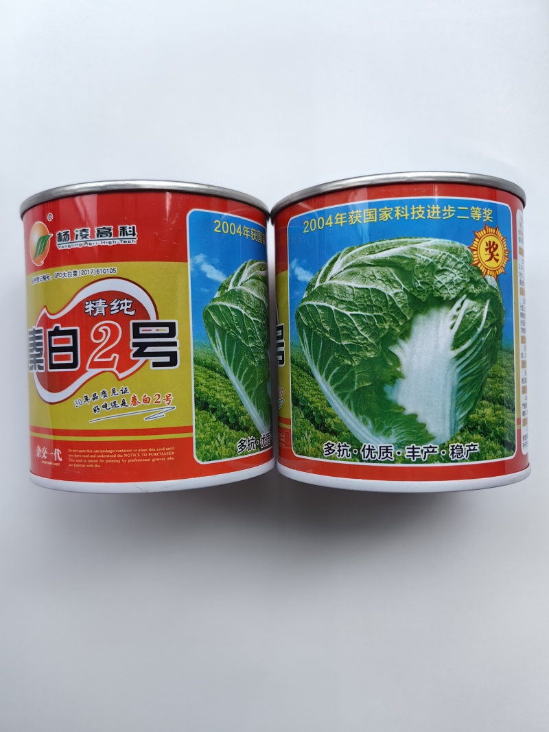 秦白2号白菜种子早熟65天大白菜冬储火锅菜好吃秋播白菜种