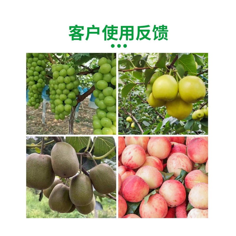 糖醇钙双重补钙提高抗性防裂果提硬度改善品质水溶肥料