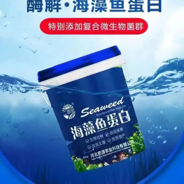 海藻鱼蛋白水溶肥水溶性肥料全水溶无残渣厂家直销