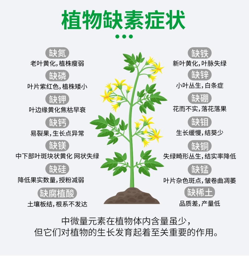 葡萄糖钛微生物菌肥改良土壤提高作物提抗力防治土传病害