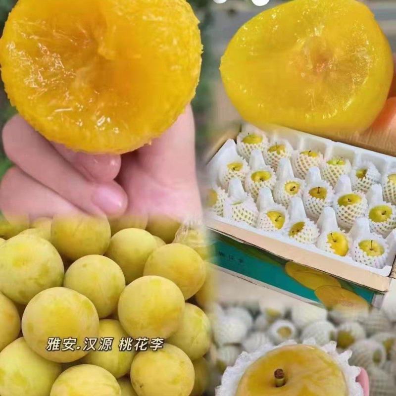 桃花李