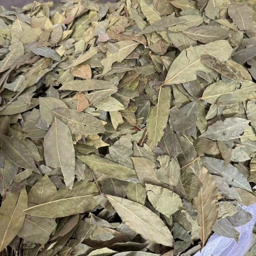 香叶，调味品，大量有货欢迎电话联系沟通洽谈合作业务