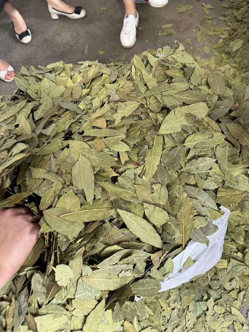 香叶，调味品，大量有货欢迎电话联系沟通洽谈合作业务