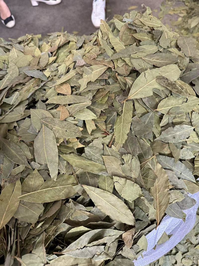 香叶，调味品，大量有货欢迎电话联系沟通洽谈合作业务