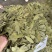 香叶，调味品，大量有货欢迎电话联系沟通洽谈合作业务