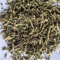 瞿麦今年新货祥泰药材栈中药材批发零售实物拍摄量多从优