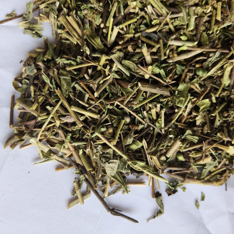 瞿麦今年新货祥泰药材栈中药材批发零售实物拍摄量多从优
