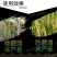 细彩-2%春雷霉素水稻稻瘟病细菌性病害杀菌剂