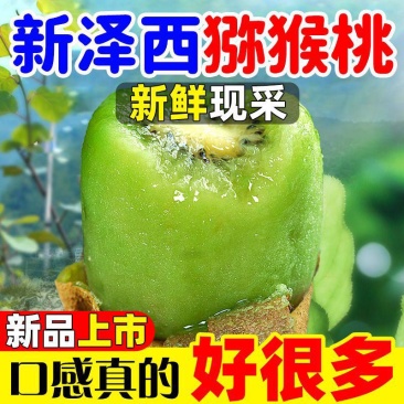 【好吃品种】新泽西猕猴桃绿心猕猴桃奇异果当季新鲜大果