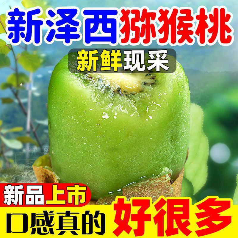 【好吃品种】新泽西猕猴桃绿心猕猴桃奇异果当季新鲜大果