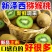 【好吃品种】新泽西猕猴桃绿心猕猴桃奇异果当季新鲜大果